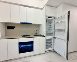 The Landmark (D3), Condominium #522159671